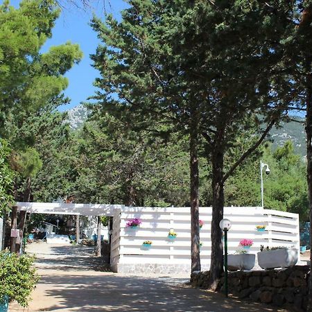 Camping Car Palmasera Cala Gonone Exterior photo